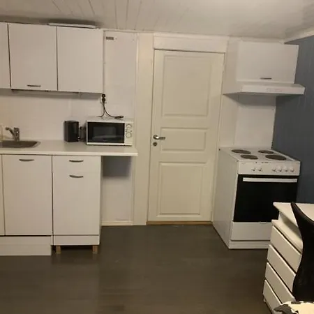 Trivelig Leilighet Gratis Parkering Pa Stedet! Porsgrunn